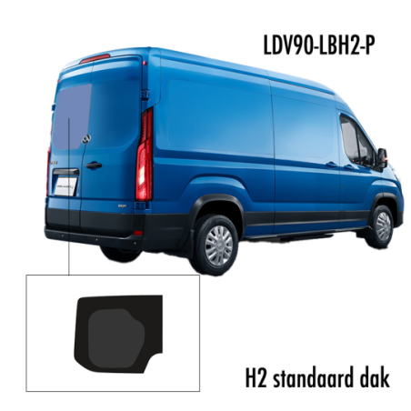 Achterdeur Privacy H2